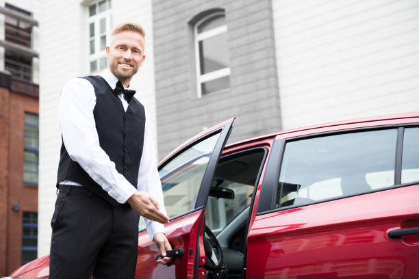 Profesional de servicio automotriz